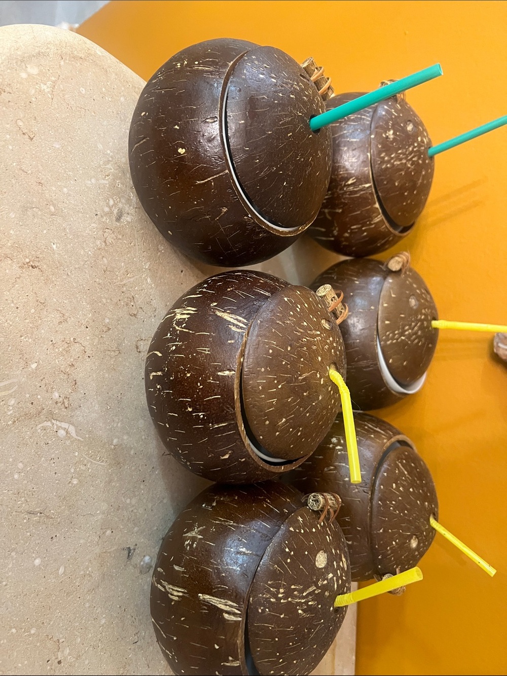 Handcrafted Coconut Shell Drink Cups in Brown - Set of 6